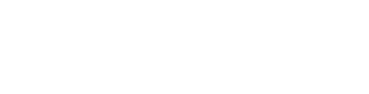 FIRM & FINANCE